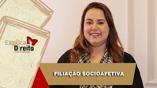 Explica Direito Filiação Socioafetiva  2019 [upl. by Tacita]