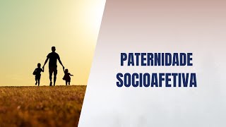 Paternidade socioafetiva [upl. by Dweck912]